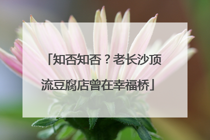 知否知否？老长沙顶流豆腐店曾在幸福桥