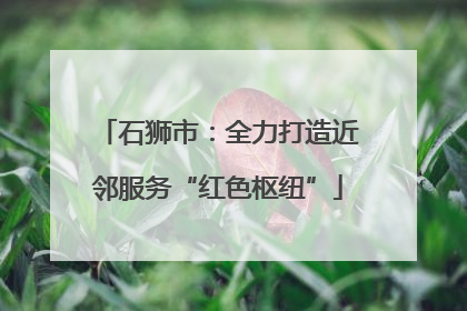 石狮市：全力打造近邻服务“红色枢纽”