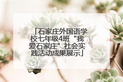石家庄外国语学校七年级4班“我爱石家庄”社会实践活动成果展示