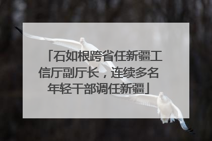 石如根跨省任新疆工信厅副厅长，连续多名年轻干部调任新疆