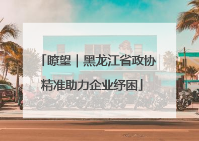 瞭望｜黑龙江省政协精准助力企业纾困