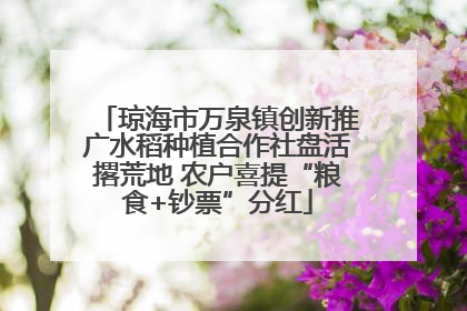 琼海市万泉镇创新推广水稻种植合作社盘活撂荒地 农户喜提“粮食+钞票”分红