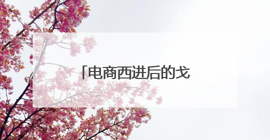 电商西进后的戈壁牧民：另一种，不荒凉的人生