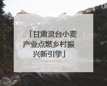 甘肃灵台小麦产业点燃乡村振兴新引擎