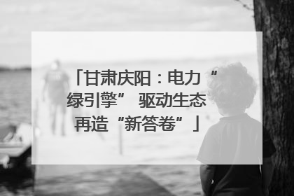 甘肃庆阳：电力“绿引擎” 驱动生态再造“新答卷”