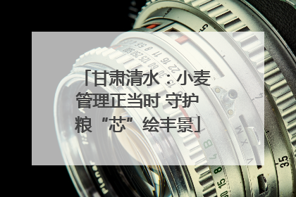 甘肃清水：小麦管理正当时 守护粮“芯”绘丰景