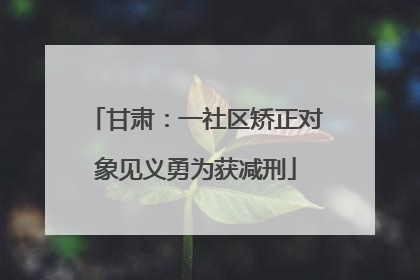 甘肃：一社区矫正对象见义勇为获减刑