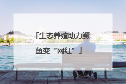 生态养殖助力鳜鱼变“网红”