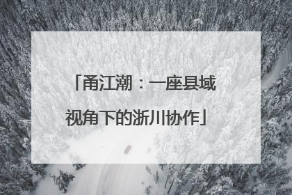 甬江潮：一座县域视角下的浙川协作