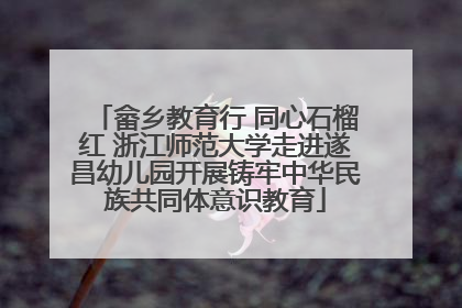 畲乡教育行 同心石榴红 浙江师范大学走进遂昌幼儿园开展铸牢中华民族共同体意识教育