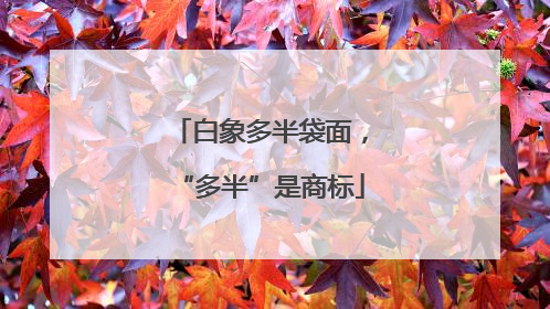 白象多半袋面，“多半”是商标