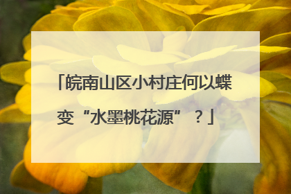 皖南山区小村庄何以蝶变“水墨桃花源”？