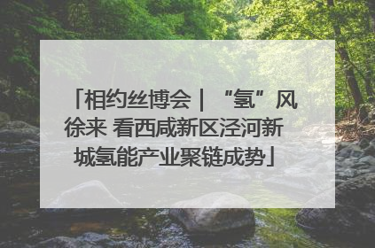 相约丝博会｜“氢”风徐来 看西咸新区泾河新城氢能产业聚链成势