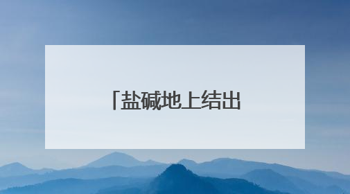 盐碱地上结出“蓝宝石”，小蓝莓串起乡村振兴全产业链
