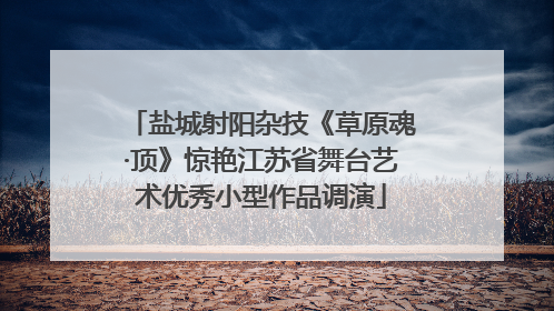 盐城射阳杂技《草原魂·顶》惊艳江苏省舞台艺术优秀小型作品调演