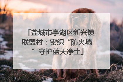 盐城市亭湖区新兴镇联盟村：密织“防火墙”守护蓝天净土