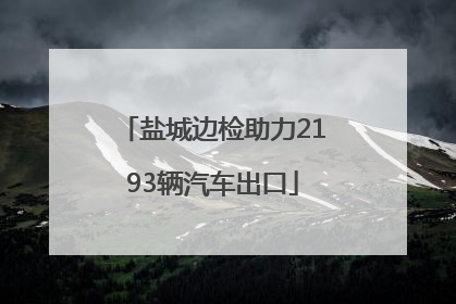 盐城边检助力2193辆汽车出口