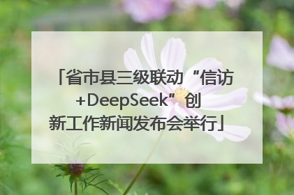 省市县三级联动“信访+DeepSeek”创新工作新闻发布会举行