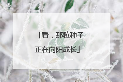 看，那粒种子正在向阳成长