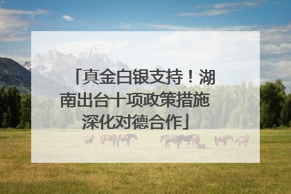 真金白银支持！湖南出台十项政策措施深化对德合作