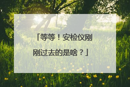 等等！安检仪刚刚过去的是啥？