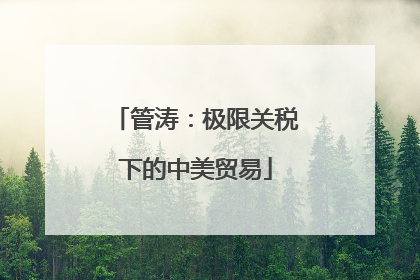 管涛：极限关税下的中美贸易