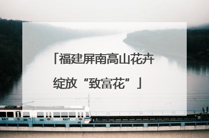 福建屏南高山花卉绽放“致富花”