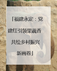 福建永定：党建红引领果蔬香 共绘乡村振兴新画卷