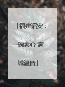 福建诏安：一碗素心 满城温情