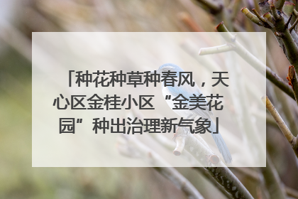 种花种草种春风，天心区金桂小区“金美花园”种出治理新气象