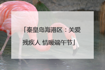 秦皇岛海港区：关爱残疾人 情暖端午节