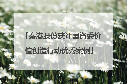 秦港股份获评国资委价值创造行动优秀案例