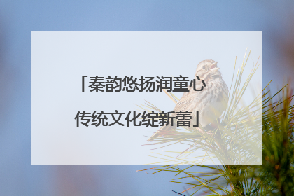 秦韵悠扬润童心 传统文化绽新蕾