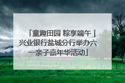 童趣田园 粽享端午｜兴业银行盐城分行举办六一亲子嘉年华活动
