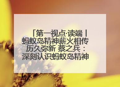 第一视点·读端丨蚂蚁岛精神薪火相传历久弥新 蔡之兵：深刻认识蚂蚁岛精神的“精气神”