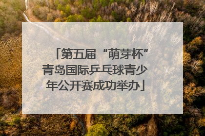 第五届“萌芽杯”青岛国际乒乓球青少年公开赛成功举办