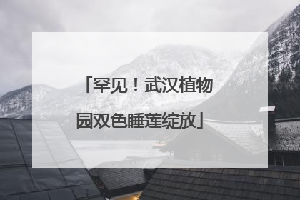 罕见！武汉植物园双色睡莲绽放