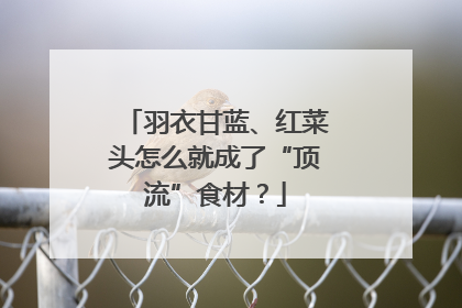羽衣甘蓝、红菜头怎么就成了“顶流”食材？