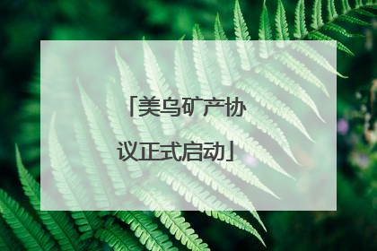 美乌矿产协议正式启动