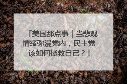 美国那点事｜当悲观情绪弥漫党内，民主党该如何拯救自己？