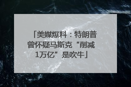 美媒爆料：特朗普曾怀疑马斯克“削减1万亿”是吹牛