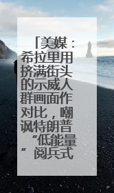 美媒：希拉里用挤满街头的示威人群画面作对比，嘲讽特朗普“低能量”阅兵式观众少
