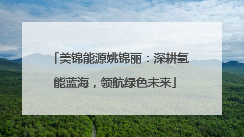 美锦能源姚锦丽：深耕氢能蓝海，领航绿色未来