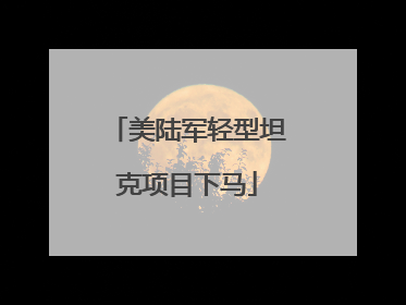 美陆军轻型坦克项目下马