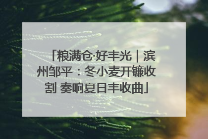 粮满仓·好丰光｜滨州邹平：冬小麦开镰收割 奏响夏日丰收曲