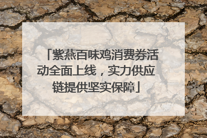 紫燕百味鸡消费券活动全面上线，实力供应链提供坚实保障