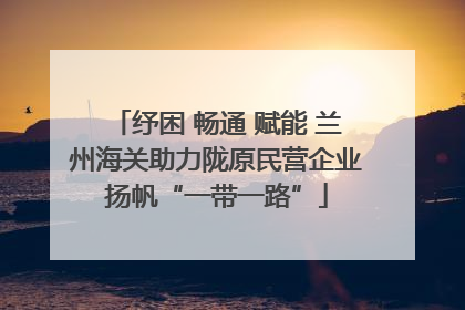 纾困 畅通 赋能 兰州海关助力陇原民营企业扬帆“一带一路”