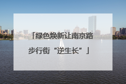 绿色焕新让南京路步行街“逆生长”