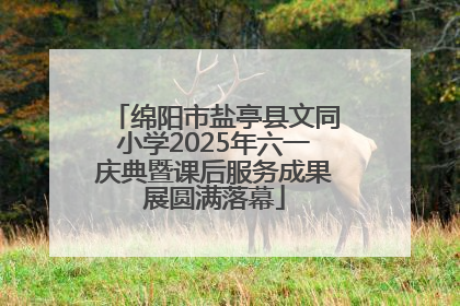 绵阳市盐亭县文同小学2025年六一庆典暨课后服务成果展圆满落幕