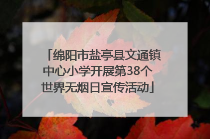 绵阳市盐亭县文通镇中心小学开展第38个世界无烟日宣传活动